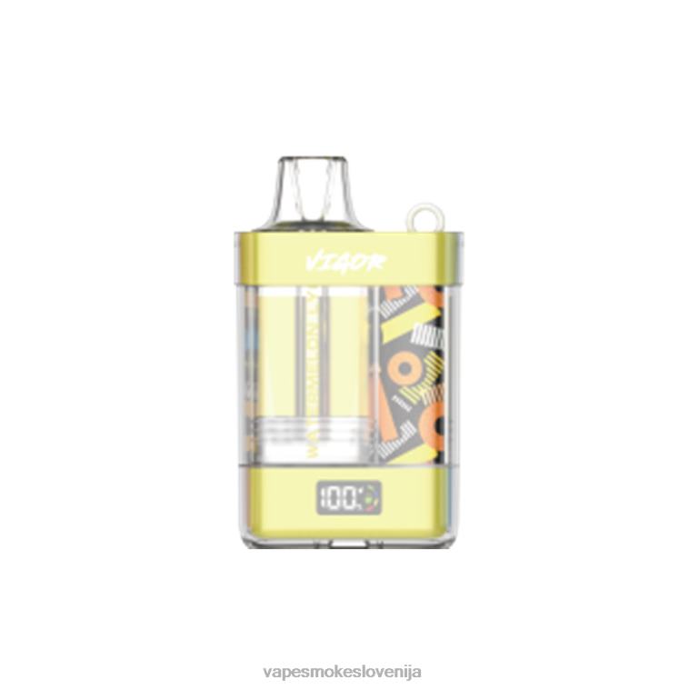 Vape Slovenija R64X411 LAVIE VIGOR 15000 vpihov lubenica liči