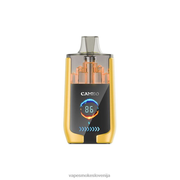 Vape Slovenija R64X421 LAVIE CAMEO 30000 vpihov mangov led